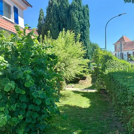 Ferienwohnung Lilo Luisa Weinheim Exterior foto